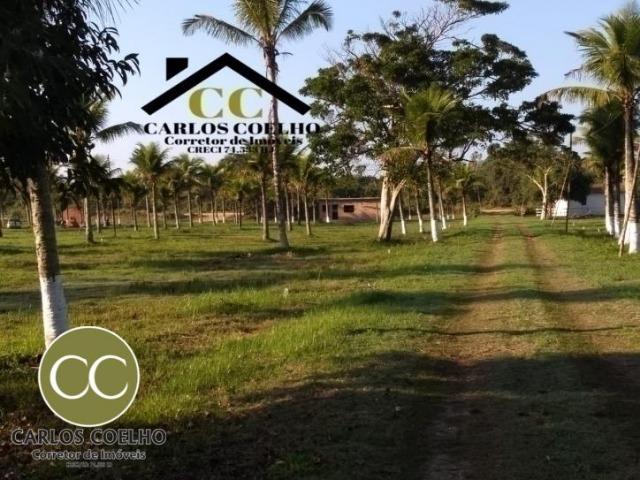 CMG Cód -138 Excelentes Terrenos Próximo ao Trevo de Búzios - Foto 7