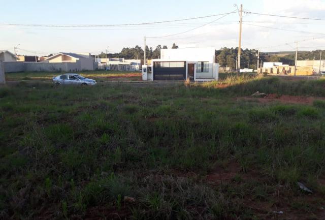 8287 | terreno à venda em são cristóvão, guarapuava - Foto 3