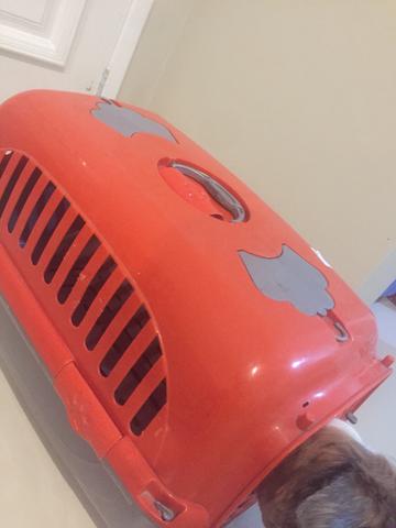 Caixa de transporte de animais de pequeno/médio porte.