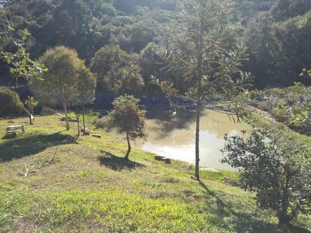 Otima oportunidade de negocio - Chacara - Foto 3