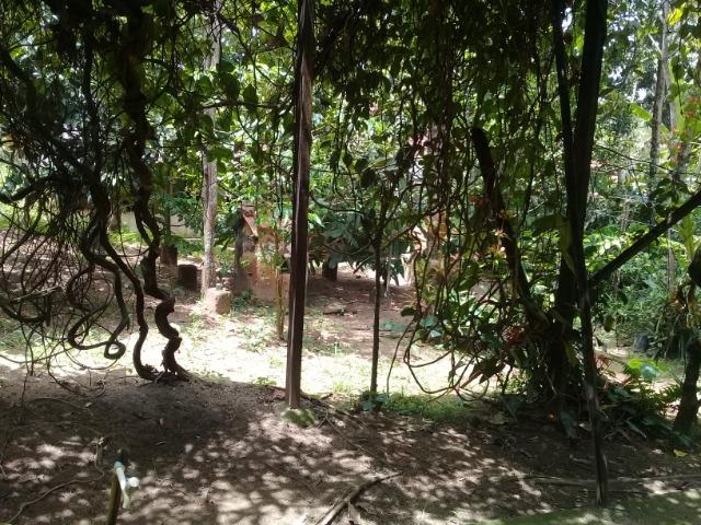 Chácara Sampaio Correia - Foto 15