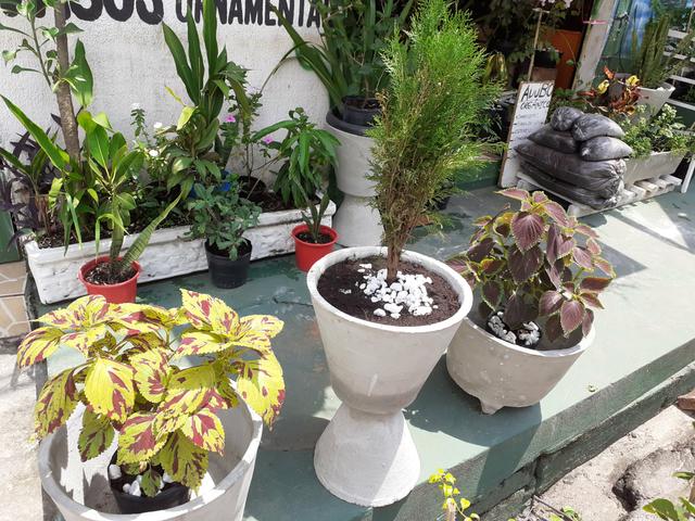 Estação verde: Plantas&Adubos