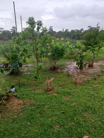 Vendo chácara muito bonita - Foto 4