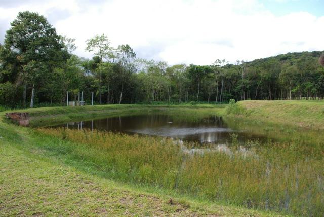 Chacara com 6,156 mts - Foto 6
