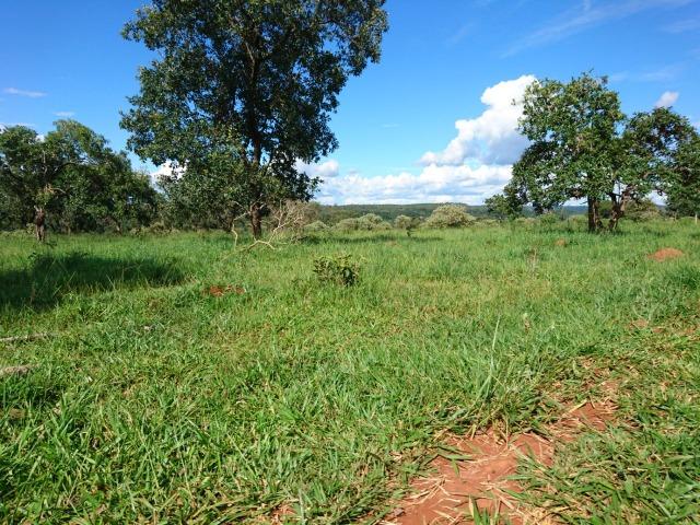 Fazenda 70 Alqueires em Cristianópolis-GO (Lavoura e Gado) - Foto 17