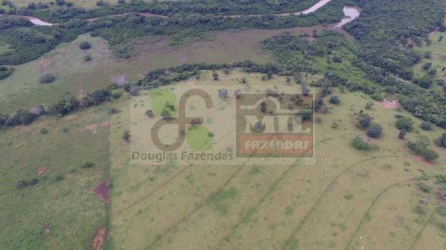 220 Alq. (Plana + Asfalto + Rio). 70 km de Goiânia - Foto 6