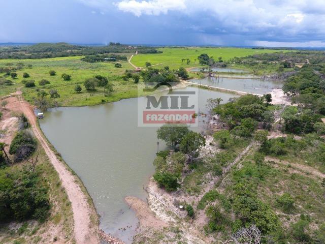 100 Alq. (484 Há). Dupla - Aptidão. Uruaçu/GO. Rica em Água | Boa Estrutura - Foto 5