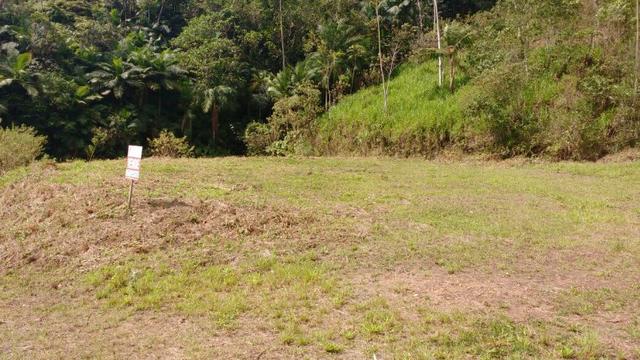 Terreno No Centro De Massaranduba
