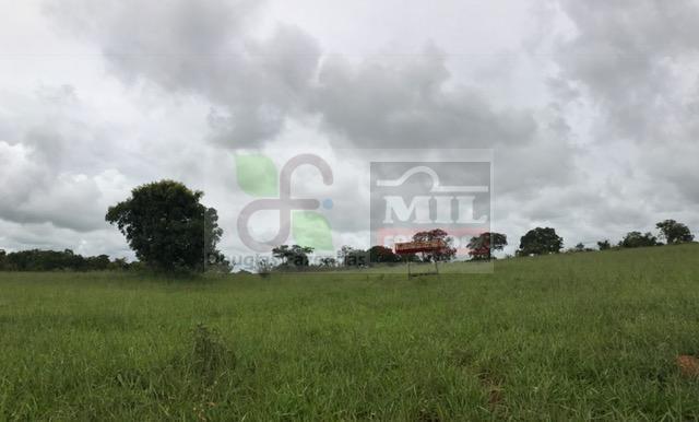 220 Alq. (Plana + Asfalto + Rio). 70 km de Goiânia - Foto 20
