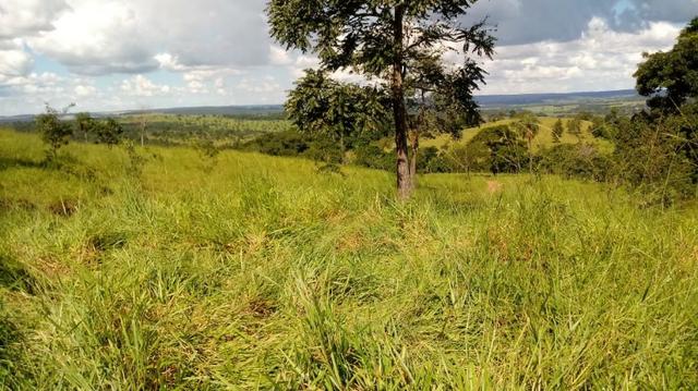 100 Alq. Cultura | Margem Lago | 78 km de Goiânia. R$ 15 Milhões - Foto 10
