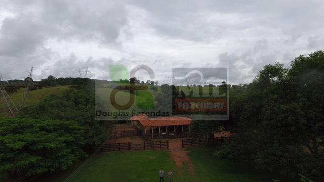 220 Alq. (Plana + Asfalto + Rio). 70 km de Goiânia - Foto 4
