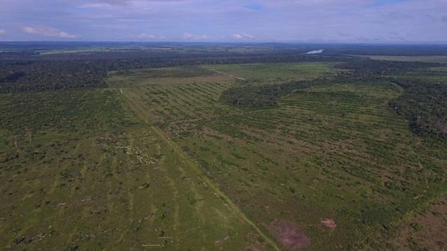 6.100 Há c/ Lavoura em Nova Canna do Norte-MT - Foto 4