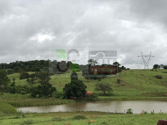 220 Alq. (Plana + Asfalto + Rio). 70 km de Goiânia - Foto 14