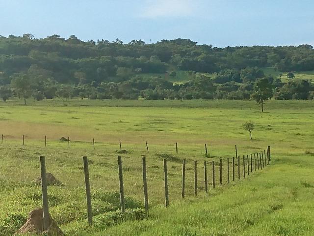 Fazenda Agrícola em Palminopolis-GO. 50 Alq. c/ 30 em Lavoura - Foto 17