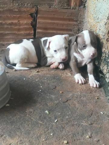 Vendo ou troco