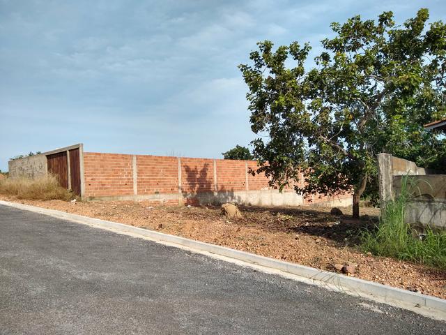 Lote Área Alfa 360 metros * - Foto 3
