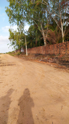 Lotes Panaquatira - Foto 5