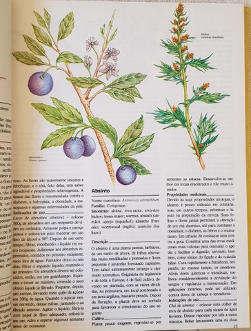 2 Livros Plantas que Curam - Editora 3 - Foto 4