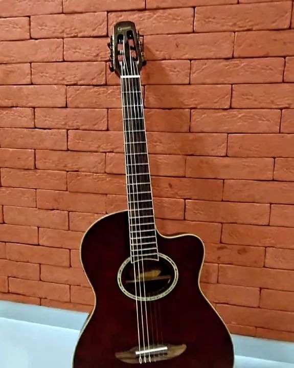 Violão Giannini Usado