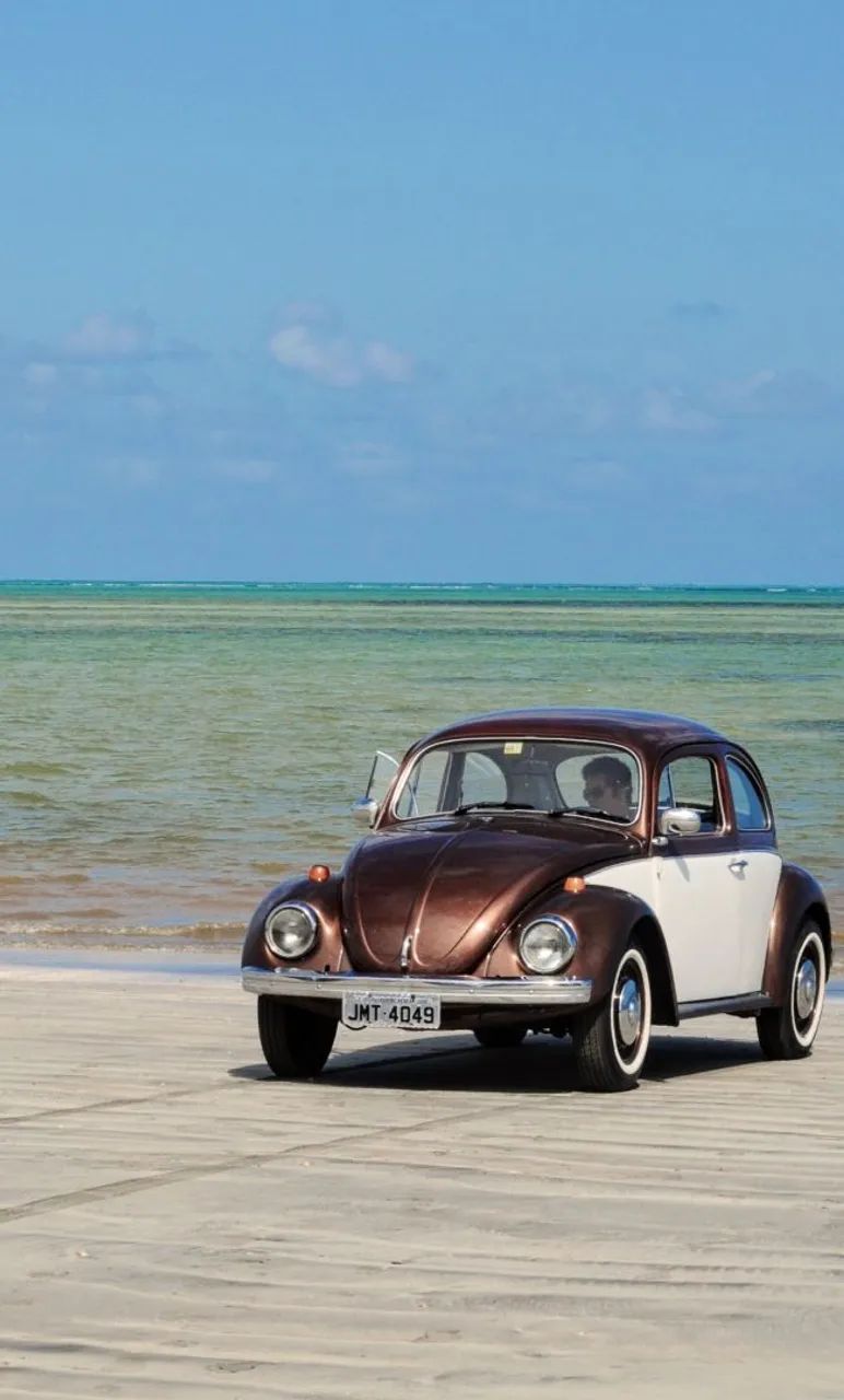 Volkswagen Fusca 1300 1974 - Foto 4