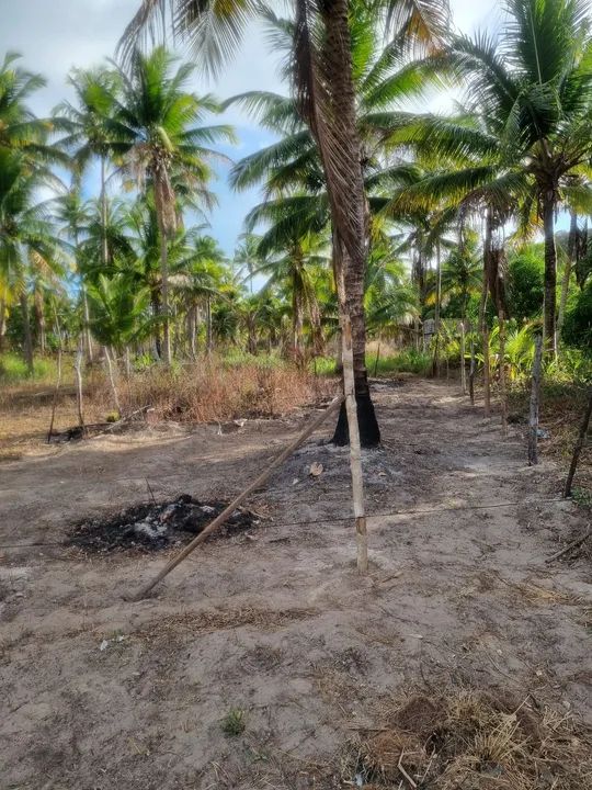 Terreno em Poxim,  jeguia da praia - Foto 2