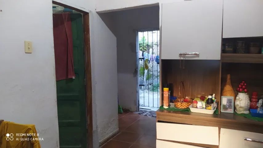 foto - Recife - Passarinho