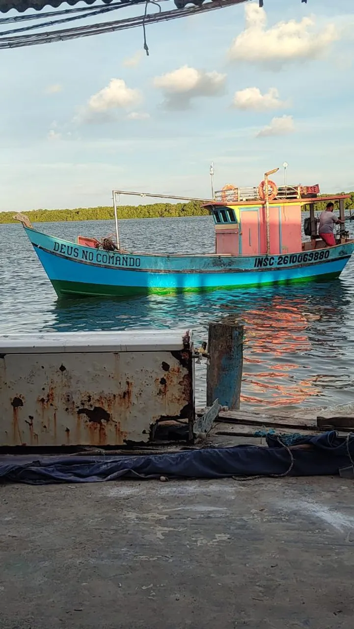 Barco fibrado 