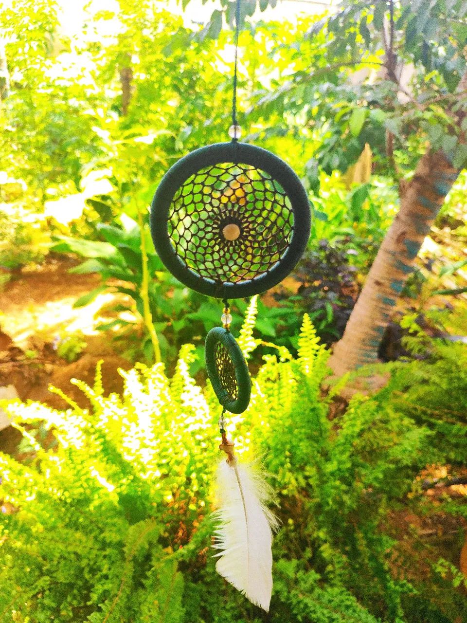 Filtro dos sonhos  - Foto 2
