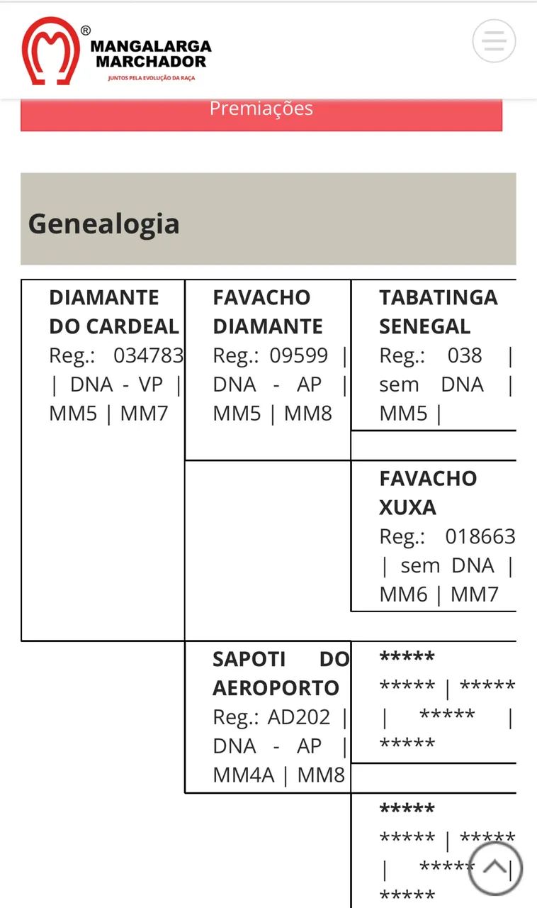 ÉGUA MANGALARGA MARAVILHOSA BATIDA - Foto 5