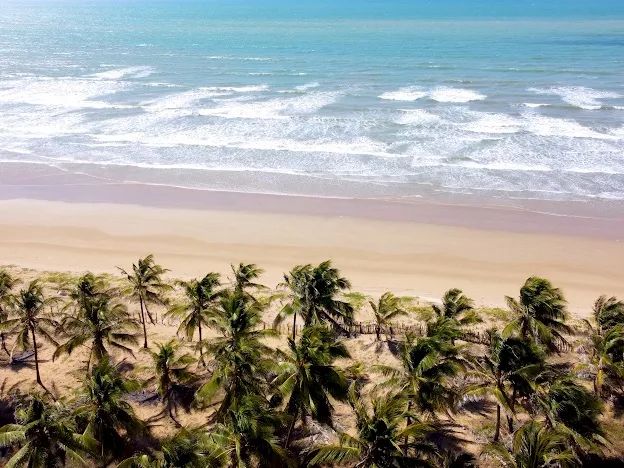 FRENTE MAR - PÉ NA AREIA - OÁSIS - LOTE NO PARAÍSO - Foto 4