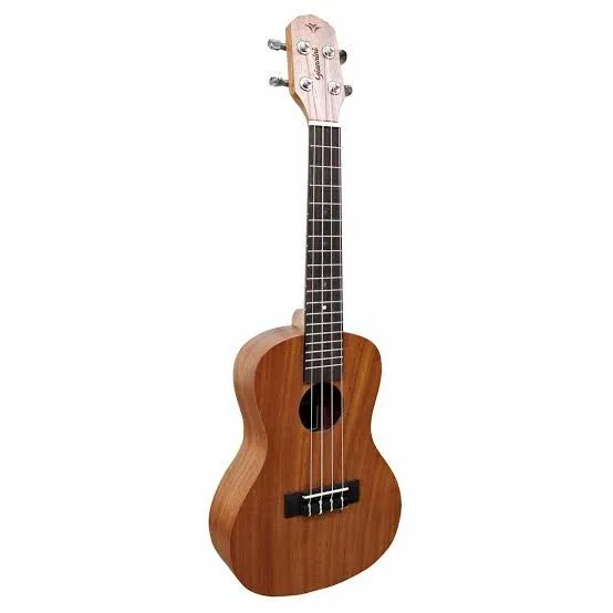 Ukulele Concert Seminovo - Som de Qualidade