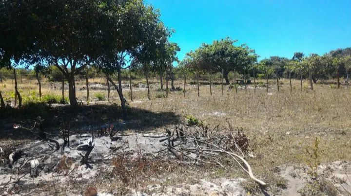 2 LOTES 50x30 (PARCELO) - Foto 5