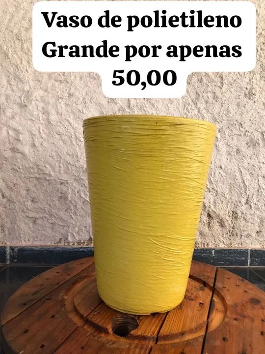 Samambaia Ninho de passarinho - Foto 3