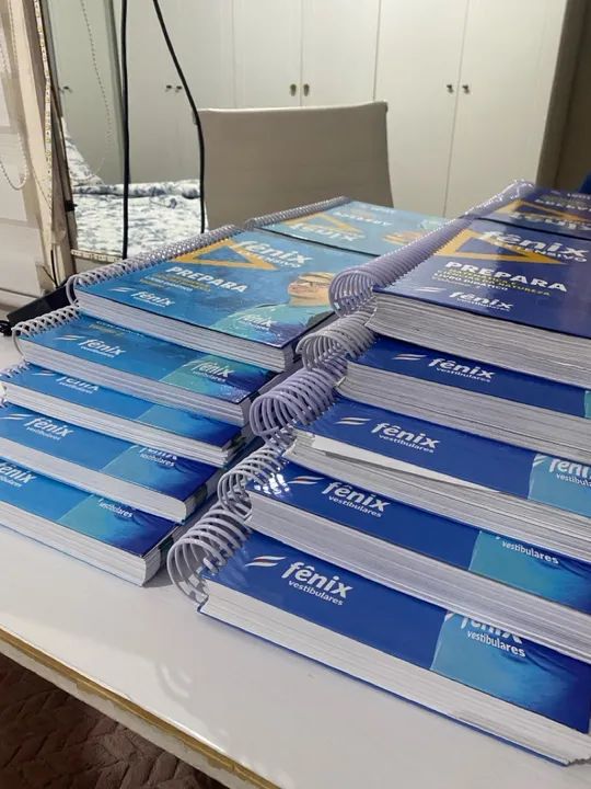 Livros Fênix Edição 2024  - Foto 5