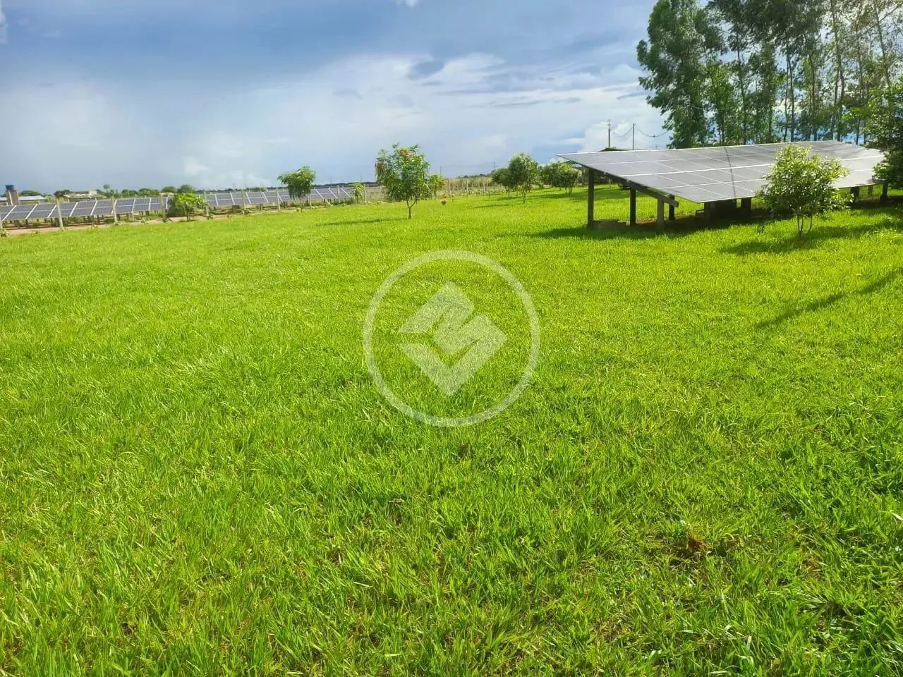 CHÁCARA NA REGIÃO DA BRÍGIDA 3800 M² SINOP-MT codigo: 114743 - Foto 4