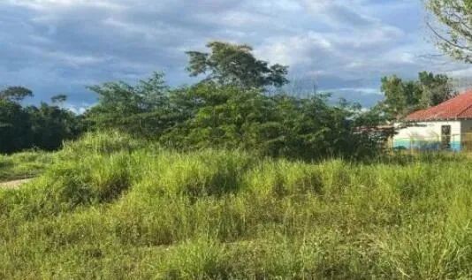Imóvel em leilão - Foto 3