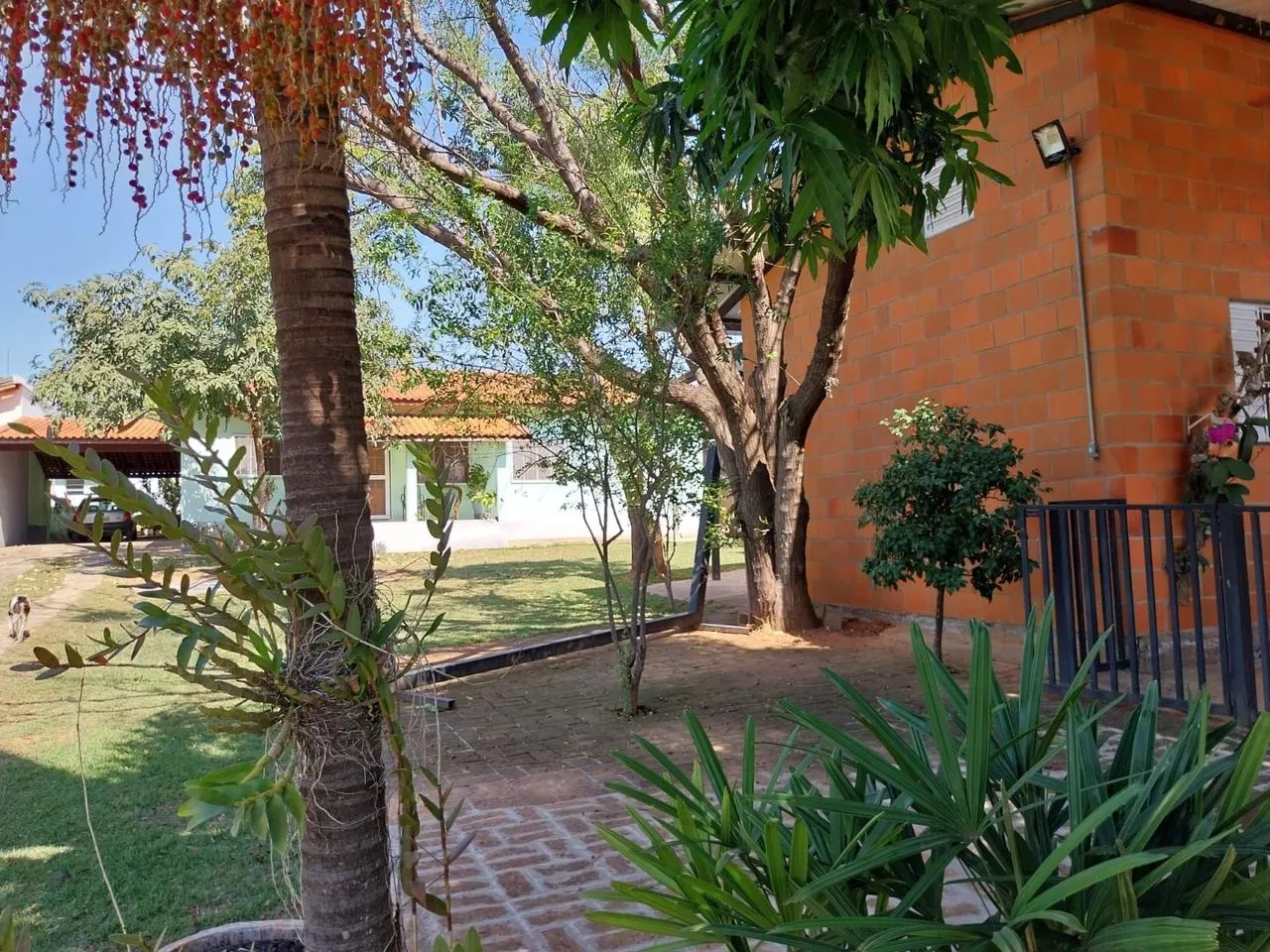 Foto - Paulínia - Parque da Represa