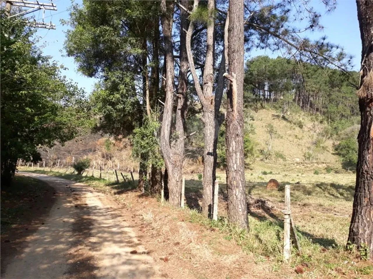 Sítio de 114.950 m2 a venda - Foto 5