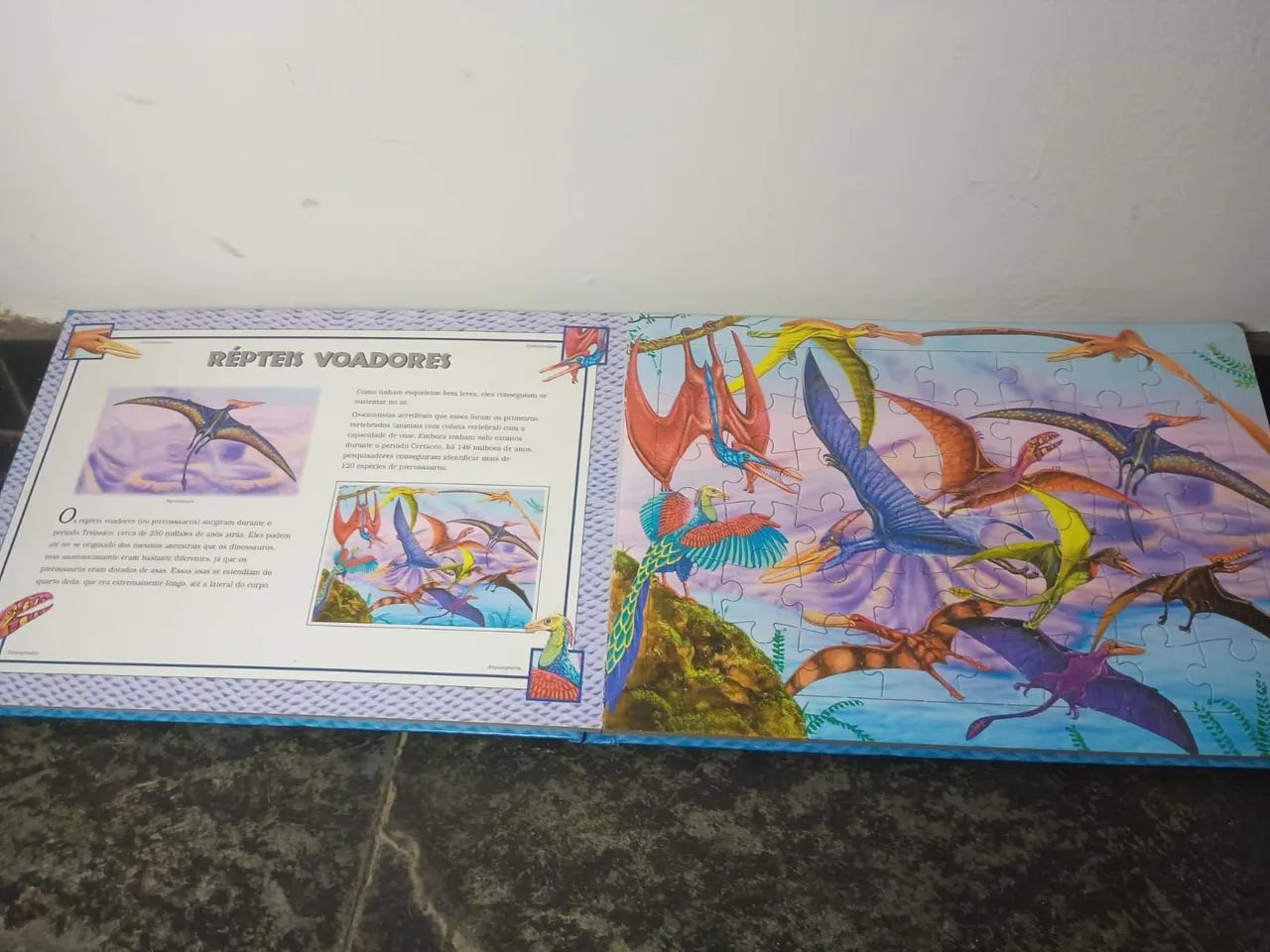 Quebra-cabeças Dinossauros - 48 peças - Foto 4