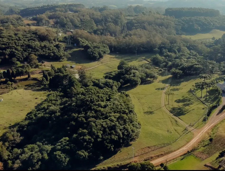 Sítio com área verde e vista espetacular Serra gaúcha!