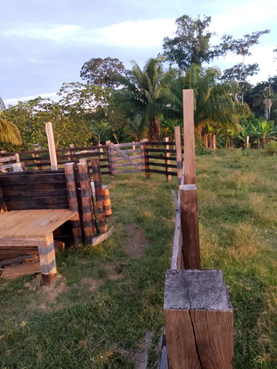 Vende-se colônia na estrada de Xapuri