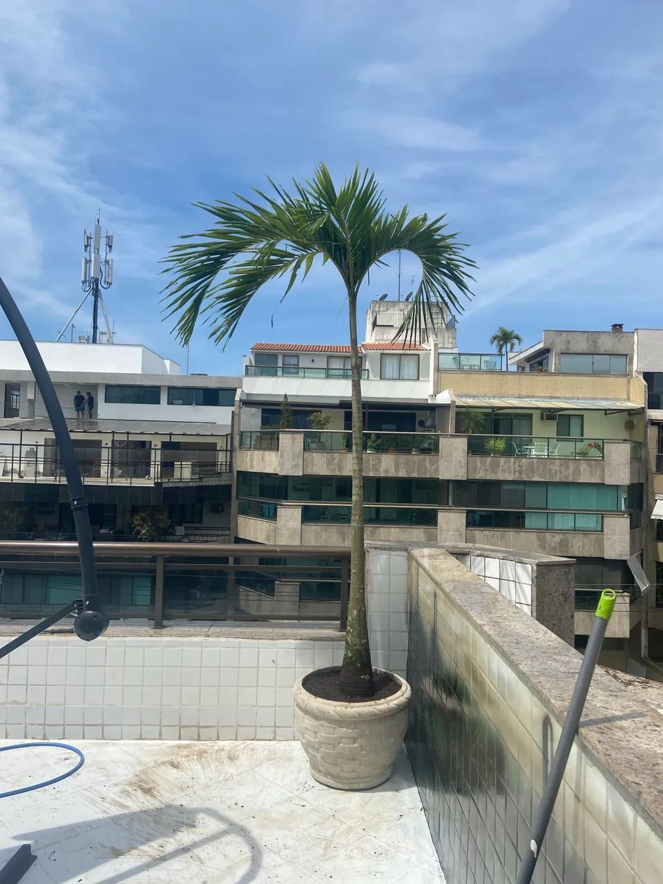 Vaso de cimento  - Foto 3