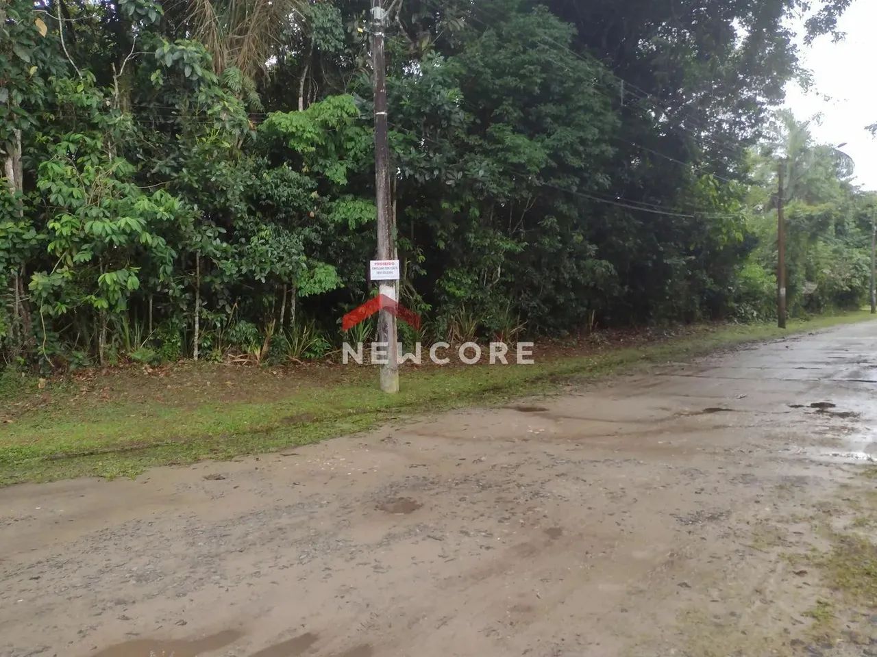 Lote em Condomínio São Luiz - São Luiz - Peruíbe/SP - Foto 4
