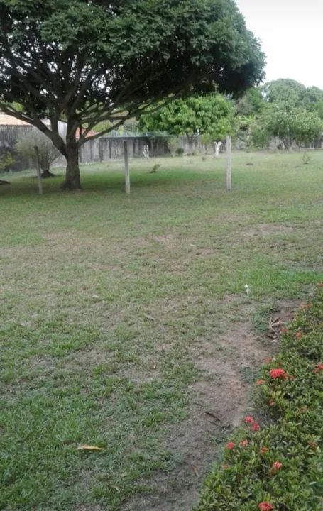 TERRENO EM PARINTINS-AM  - Foto 3