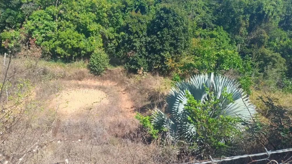 Chácara medindo 4 mil metros - Foto 3