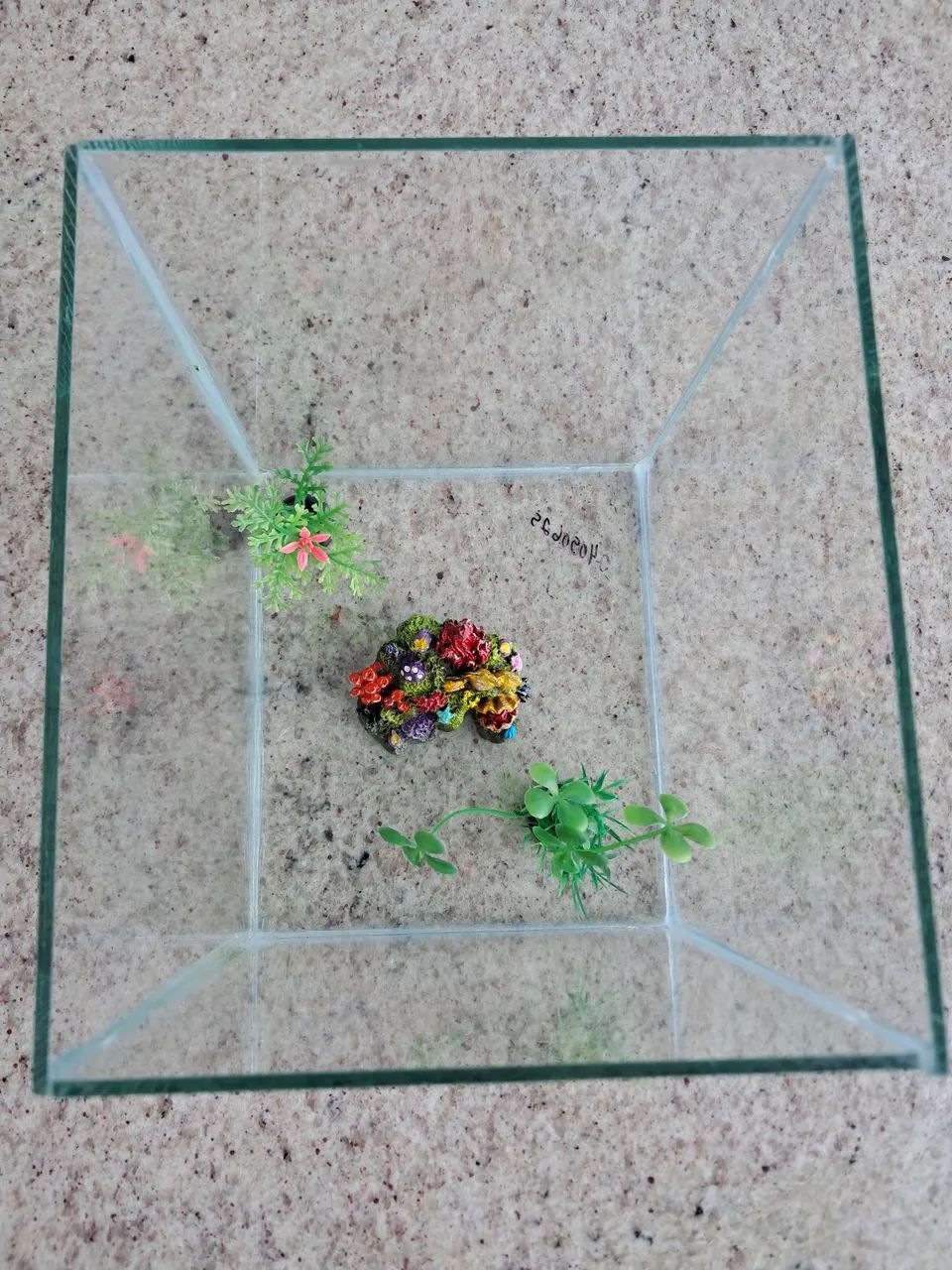 Aquário de vidro com decoração - Foto 3