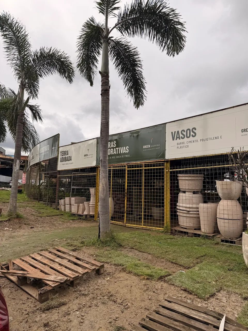 Comércio de plantas- oportunidade de negócio 