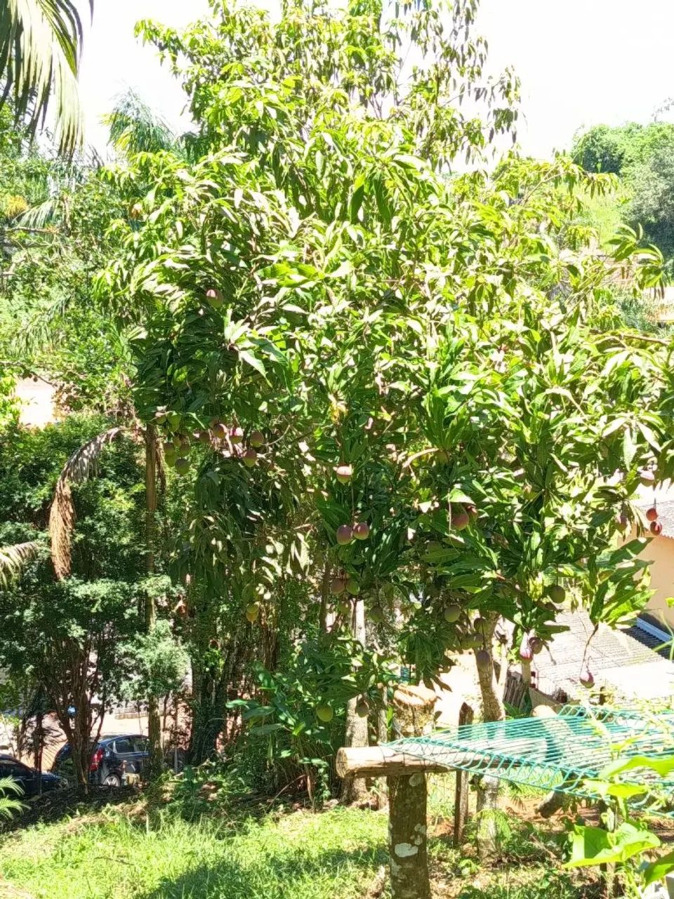 Vendo chácara. - Foto 2