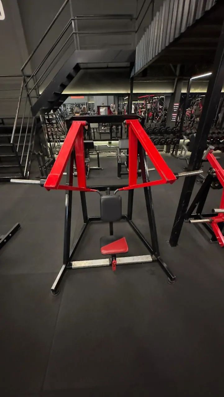 Remada Costas Equipamento Musculação 