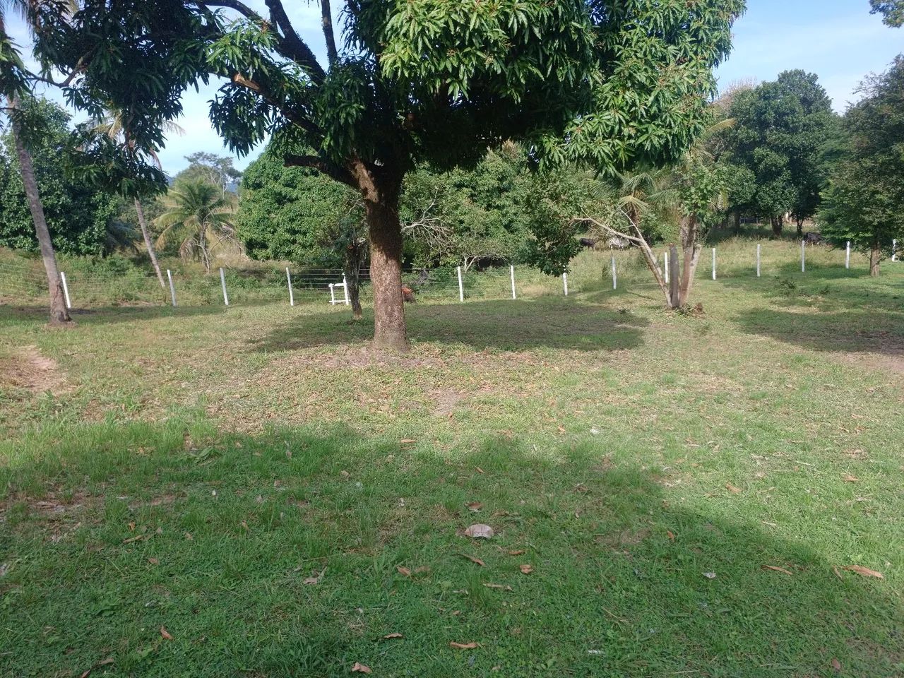 CHÁCARA PRÓXIMA A MARICÁ - Foto 5